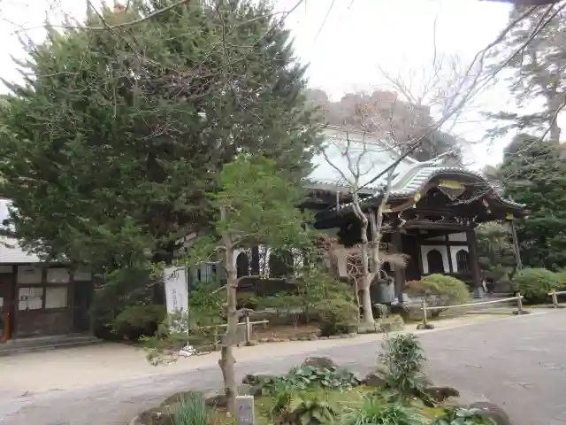 妙本寺の本殿・本堂