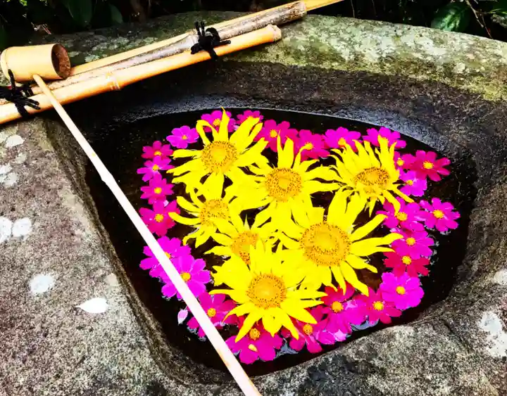 真言宗 善通寺派 薬王寺(香川県)