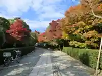 龍安寺(京都府)