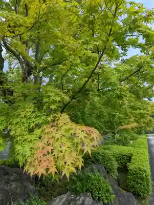 妙満寺(京都府)