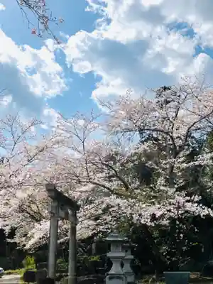 金嶽神社(茨城県)
