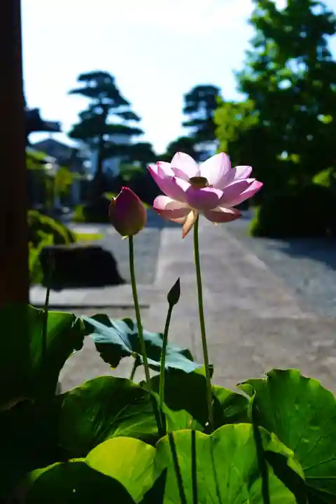 法源寺(山梨県)