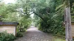 竹林寺の景色