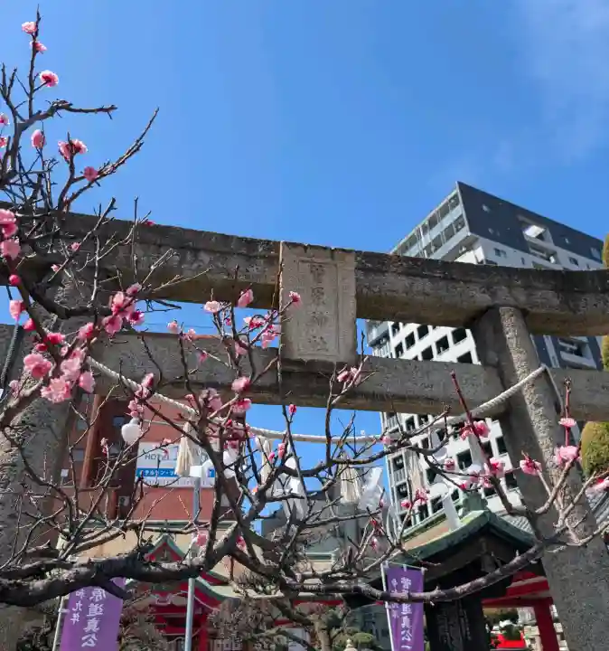 菅原神社の{uncategorized: "未分類", other: "その他", undefined: "問題あり", building: "その他建物", grave: "お墓", sacred_gate: "鳥居", guardian: "狛犬", statue: "像", buddha: "仏像", history: "歴史", nature: "自然", garden: "庭園", animal: "動物", pagoda: "塔", temizu: "手水舎", mountain_gate: "山門・神門", sanctuary: "本殿・本堂", subordinate: "末社・摂社", art: "芸術", scenery: "景色", jizo: "地蔵", ema: "絵馬", goshuin: "御朱印", omikuji: "おみくじ", items: "授与品その他", amulet: "お守り", goshuincho: "御朱印帳", eats: "食事", festival: "お祭り", votive_dance: "神楽", shichigosan: "七五三参", wedding: "結婚式", experience: "体験その他", initially: "初詣", around: "周辺", anti_infection: "感染症対策"}