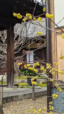 勝林寺(京都府)