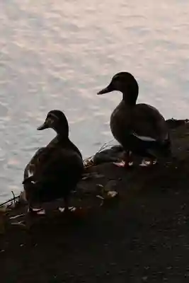 大悲閣千光寺(京都府)