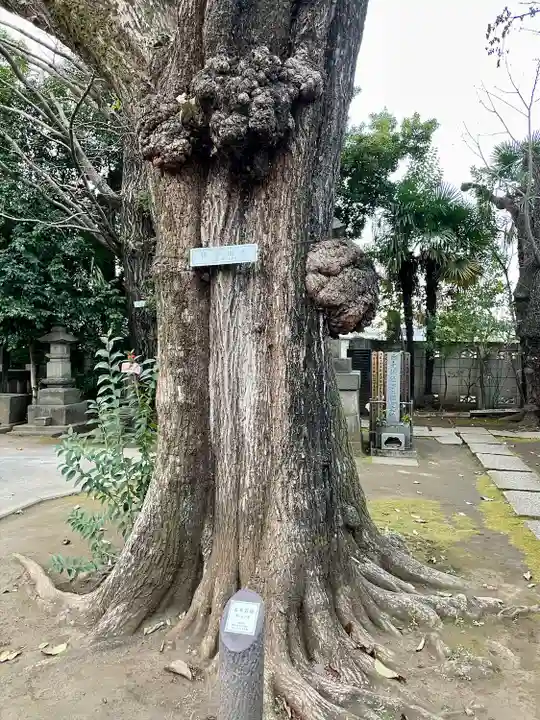 最勝寺教学院(東京都)