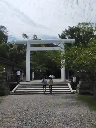 安房神社の鳥居