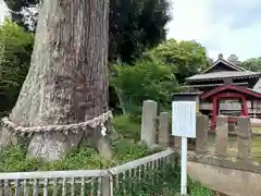 松澤 熊野神社(千葉県)