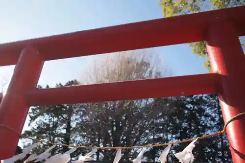 武州与野天祖神社の鳥居