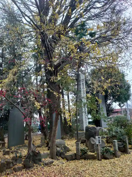 生品神社の自然