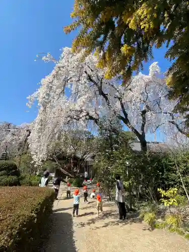 中院の{uncategorized: "未分類", other: "その他", undefined: "問題あり", building: "その他建物", grave: "お墓", sacred_gate: "鳥居", guardian: "狛犬", statue: "像", buddha: "仏像", history: "歴史", nature: "自然", garden: "庭園", animal: "動物", pagoda: "塔", temizu: "手水舎", mountain_gate: "山門・神門", sanctuary: "本殿・本堂", subordinate: "末社・摂社", art: "芸術", scenery: "景色", jizo: "地蔵", ema: "絵馬", goshuin: "御朱印", omikuji: "おみくじ", items: "授与品その他", amulet: "お守り", goshuincho: "御朱印帳", eats: "食事", festival: "お祭り", votive_dance: "神楽", shichigosan: "七五三参", wedding: "結婚式", experience: "体験その他", initially: "初詣", around: "周辺", anti_infection: "感染症対策"}