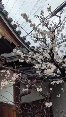 成道院(京都府)