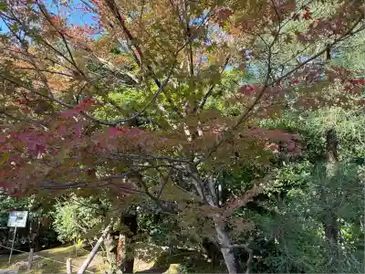 龍安寺(京都府)
