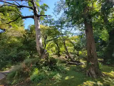 観蔵院 曼荼羅寺の自然