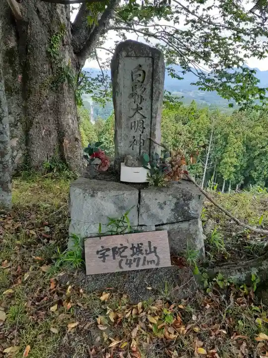 白髭大明神(奈良県)