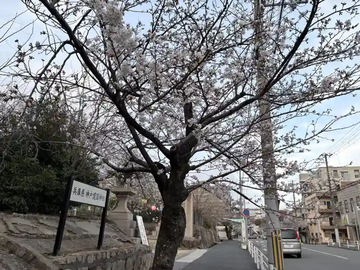 兵庫縣神戸護國神社(兵庫県)
