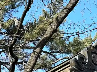 川中島古戦場八幡社(長野県)