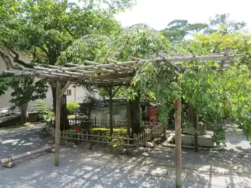 修禅寺の庭園