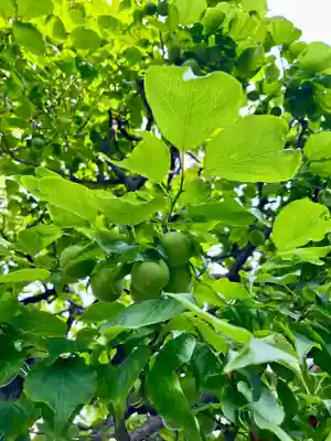 當光寺(東京都)