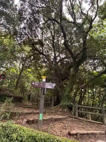 大龍寺(兵庫県)