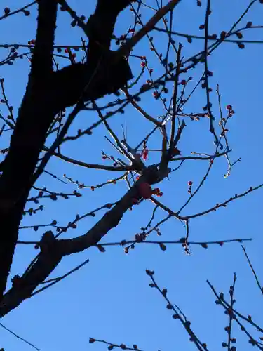 鳩森八幡神社(東京都)
