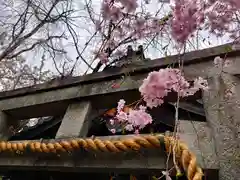 雨宝院(京都府)