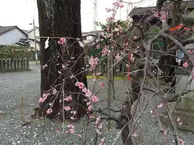 塩屋八幡宮(熊本県)