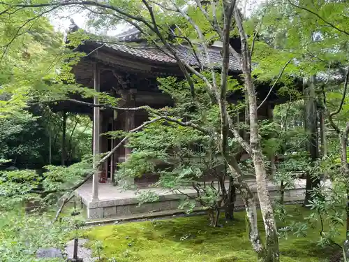 蓮華寺（洛北蓮華寺）(京都府)