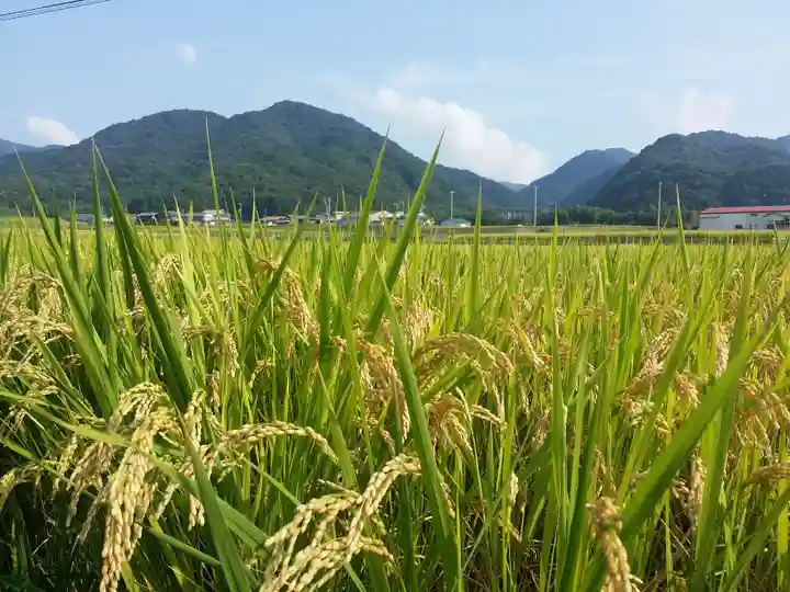 上田八幡神社の自然