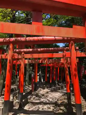 東伏見稲荷神社の鳥居