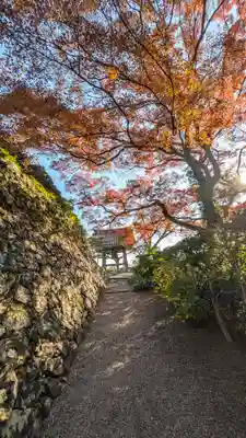 善峯寺(京都府)
