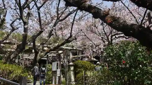 雨宝院の庭園