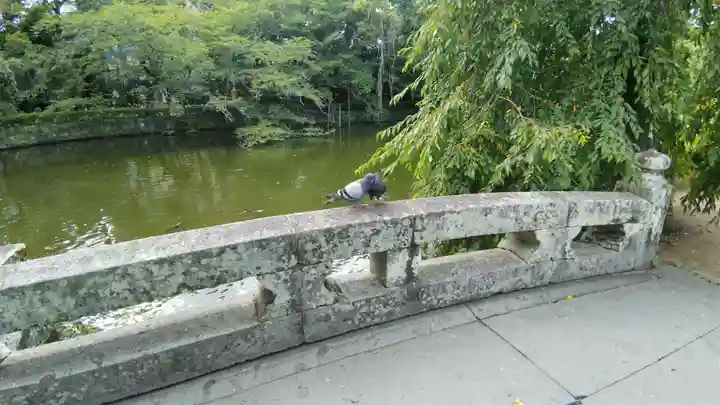 三嶋大社(静岡県)