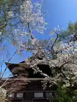 善光寺の{uncategorized: "未分類", other: "その他", undefined: "問題あり", building: "その他建物", grave: "お墓", sacred_gate: "鳥居", guardian: "狛犬", statue: "像", buddha: "仏像", history: "歴史", nature: "自然", garden: "庭園", animal: "動物", pagoda: "塔", temizu: "手水舎", mountain_gate: "山門・神門", sanctuary: "本殿・本堂", subordinate: "末社・摂社", art: "芸術", scenery: "景色", jizo: "地蔵", ema: "絵馬", goshuin: "御朱印", omikuji: "おみくじ", items: "授与品その他", amulet: "お守り", goshuincho: "御朱印帳", eats: "食事", festival: "お祭り", votive_dance: "神楽", shichigosan: "七五三参", wedding: "結婚式", experience: "体験その他", initially: "初詣", around: "周辺", anti_infection: "感染症対策"}