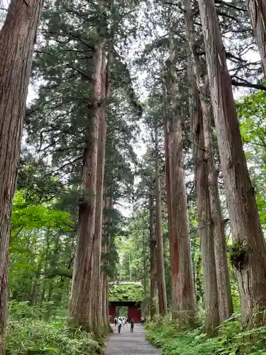 戸隠神社奥社(長野県)