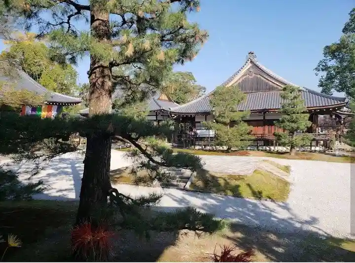 大覚寺(京都府)