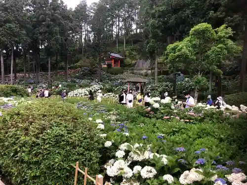 三室戸寺の庭園