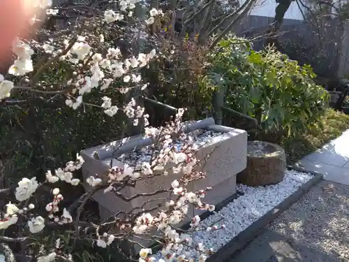 鉄道神社の自然