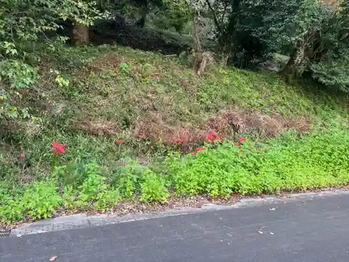 大宮温泉神社(栃木県)