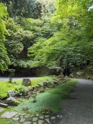 醍醐寺(京都府)