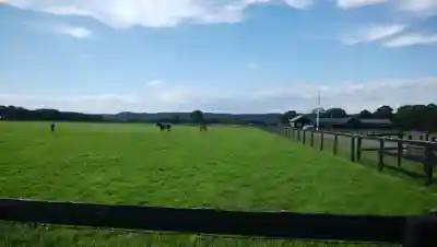 様似住吉神社の周辺