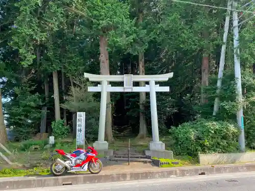 出雲伊波比神社の鳥居