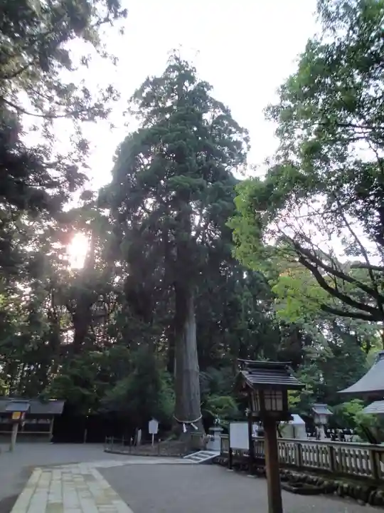 狭野神社のその他建物