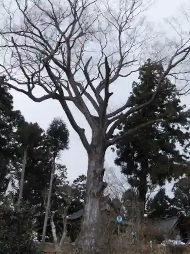 阿久津「田村神社」（郡山市阿久津町）旧社名：伊豆箱根三嶋三社(福島県)