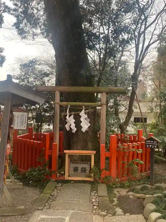 大前神社の自然
