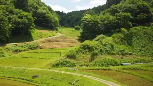 大杉神社の景色