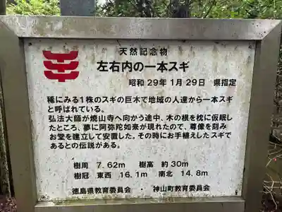 浄蓮庵(徳島県)