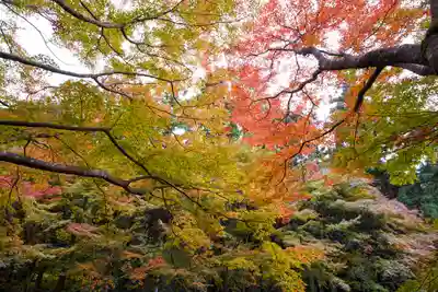 大寧寺(山口県)