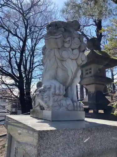 手稲神社の狛犬